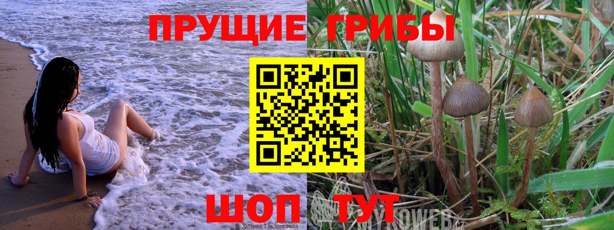 Галлюциногенные грибы Magic Shrooms Зима