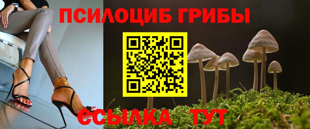 А ПВП Зима