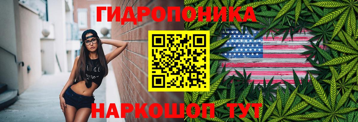 Каннабис THC 21% Зима